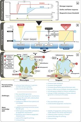 Priming of Marine Macrophytes for Enhanced Restoration Success and Food Security in Future Oceans